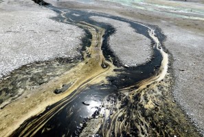 Пермские учёные выяснили, как загрязнение нефтью влияет на дыхание почвы