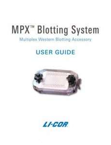 MPX™ Blotting System