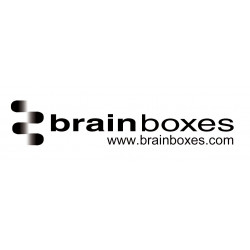 Логотип «BrainBoxes»