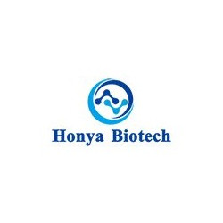 Логотип «Honya»