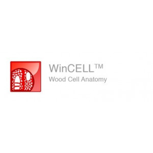 WinCELL – система для анализа анатомии клеток древесины