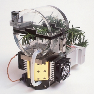 Сенсорная камера для изучения параметров фотосинтеза у хвойных растений с короткими иголками, LI-COR