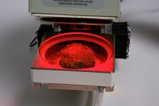 Камера для мохообразных с освещением, LI-COR