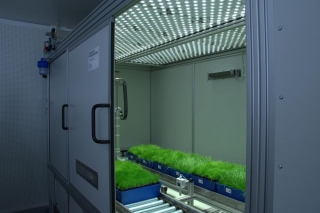 PlantScreen Compact System — система фенотипирования биообъектов растительного происхождения, Photon Systems Instruments