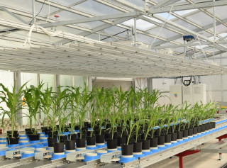 PlantScreen Modular System — система фенотипирования биообъектов растительного происхождения, Photon Systems Instruments