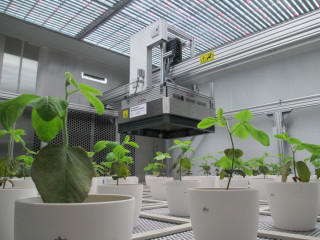 PlantScreen Robotic XYZ System — система фенотипирования биообъектов растительного происхождения, Photon Systems Instruments