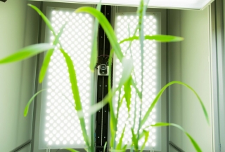 ThermalCam — сканер термального имиджинга для фенотипирования растений, Photon Systems Instruments