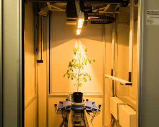 Hyperspectral Scanner — сканер гиперспектрального имиджинга для фенотипирования растений, Photon Systems Instruments