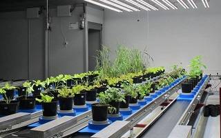 Компания Photon Systems Instruments выводит на рынок новую серию систем «PlantScreen» для автоматического фенотипирования растений