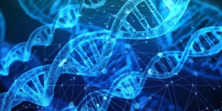 Амплификация ДНК: что это?